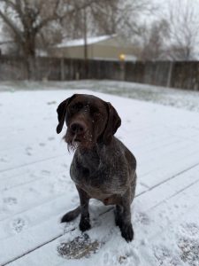 Hunter in snow